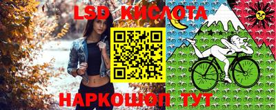 СК Гусь-Хрустальный