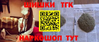 индика Гусев