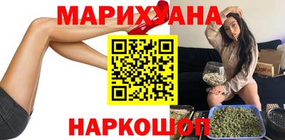 индика Гусев