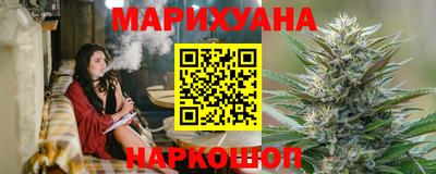 индика Гусев