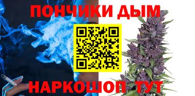 индика Гусев