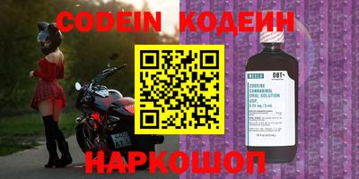индика Гусев