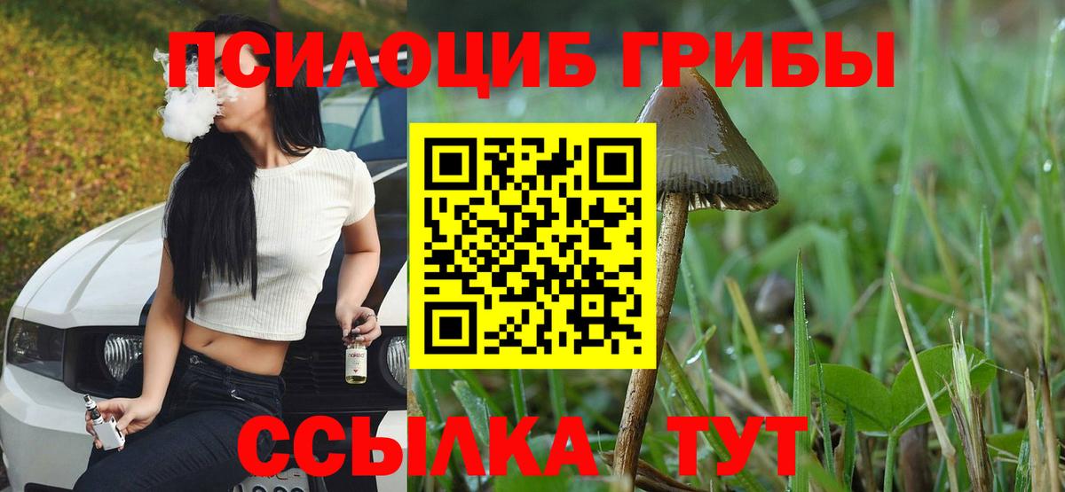 Галлюциногенные грибы Cubensis  Псилоцибиновые грибы MAGIC MUSHROOMS  Ейск  Вход с VPN 