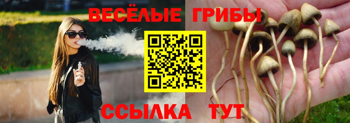 Галлюциногенные грибы прущие грибы Ейск